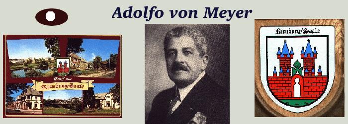 Adolfo von Meyer wurde in Nienburg an der Saale geboren