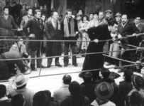 Don Camillo beim Boxkampf