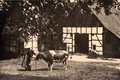 Haus Kranenberg 1933. Frau Elisabeth Kranenberg bei der Arbeit.