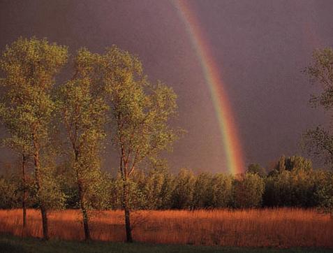 Nach dem Ungewitter wird es wieder normal.