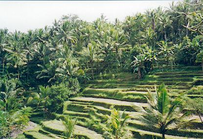 Indonesien