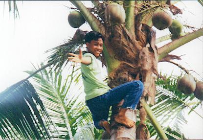 Indonesien